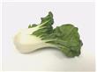 10种高密度蔬果排毒养颜又清热消炎（2）