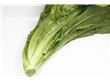 10种高密度蔬果排毒养颜又清热消炎（4）