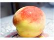 草莓增白桃子防皱纹 10种食物吃出白瓷肌肤（5）