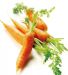 每周吃3次胡萝卜可有效保护前列腺
