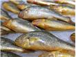 6类人不能吃鱼 9种鱼食用有禁忌（2）