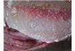 广西肝吸虫感染率居全国首位 最好不吃鱼生