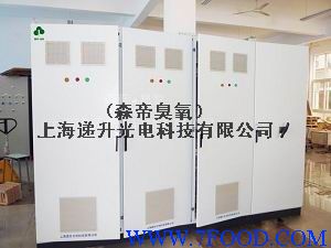 降低COD/BOD专用上海大型臭氧发生器
