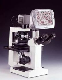 DY-D100倒置生物显微镜