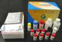 氟苯尼考（FF）ELISA快速检测试剂盒