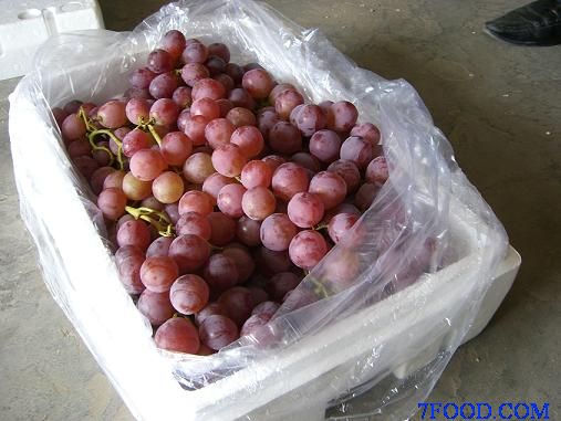 葡萄专用保鲜袋