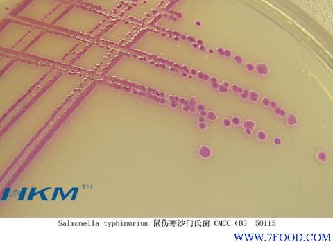 沙门氏菌显色培养基
