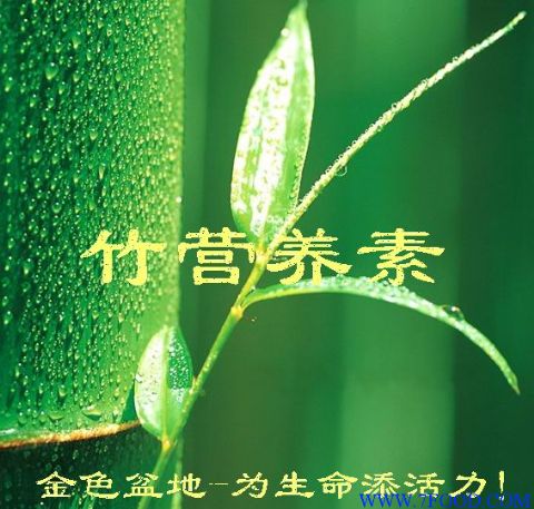 竹营养素