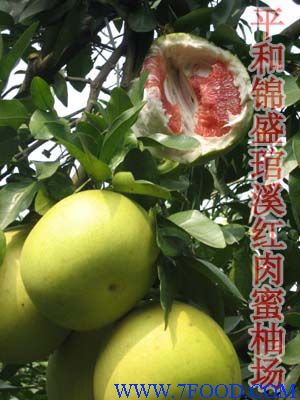 红肉蜜柚新品种