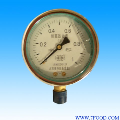 北京优质充油YTN100耐震压力表