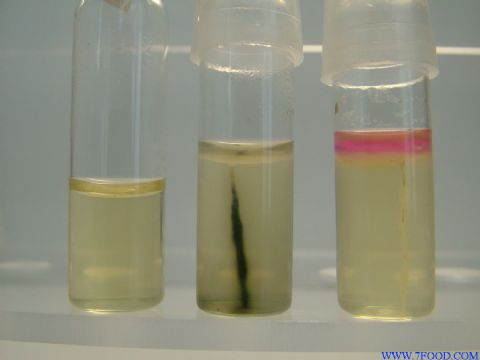 小肠结肠炎耶尔森氏菌生化鉴定盒