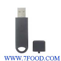 DW-USB-LITE型U盘小型温度数据记录仪