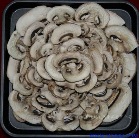 蘑菇片