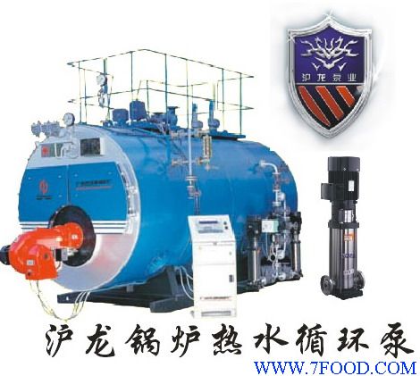 GC立式锅炉增压循环专用泵