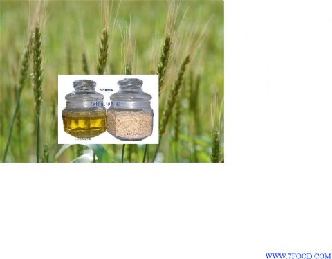 小麦胚芽油