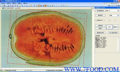 瓜果剖切面瓤色图像分析仪系统