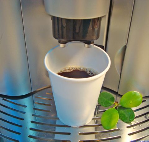 一次性环保咖啡杯8OZ