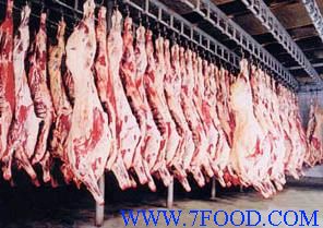 求购进口优质山羊肉