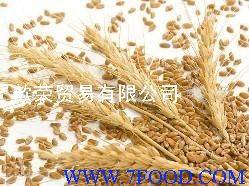 长期供应小麦