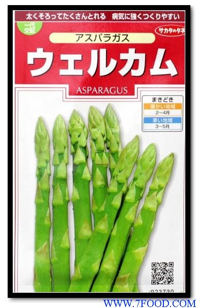 芦笋种子蔬菜种子