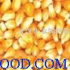 大豆小麦碎米棉粕次粉