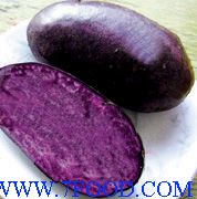 紫色马铃薯种薯及商品薯
