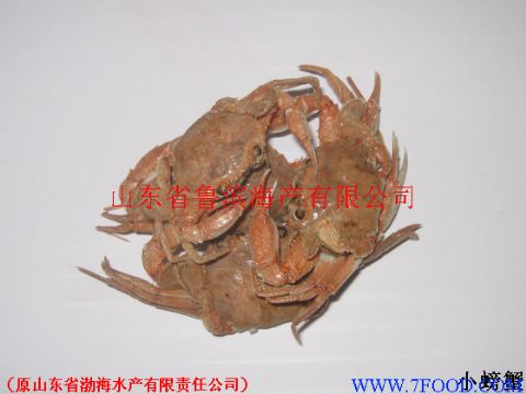 螃蟹（小螃蟹）