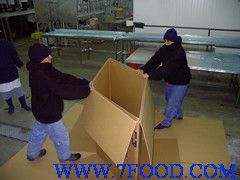 冷冻蘑菇出口欧美500公斤大包装箱