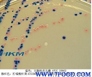 大肠菌群和大肠杆菌显色培养基ECC