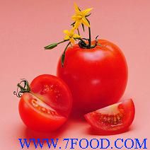 植物提取物厂家供应多种规格番茄红素