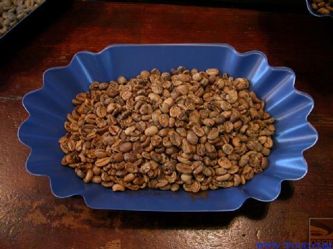 优质稳定咖啡豆