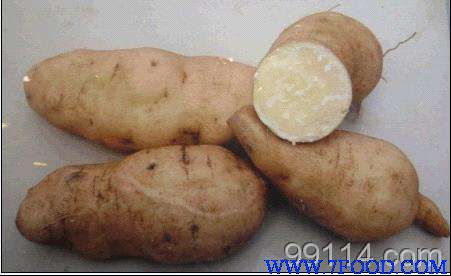 红薯苗价格