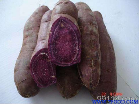 紫薯苗