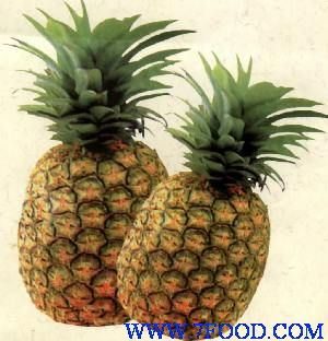 海南菠萝水果