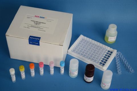内酰胺酶检测试剂盒