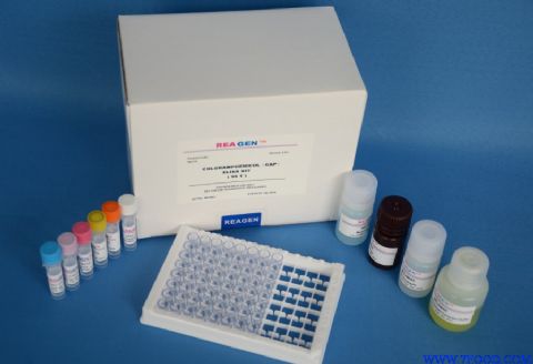 腹泻性贝类毒检测试剂盒