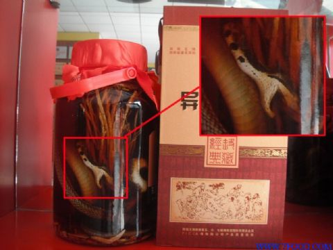在上海哪有卖蛇酒的？永州异蛇王酒