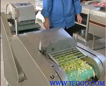 瓜果切丝切片机叶茎类切菜机价格