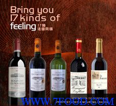 法国17种原瓶进口红酒3