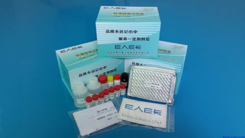 喹乙醇代谢物检测试剂盒