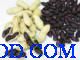 黑花生种子云南高质量黑花生