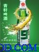 低价位果味啤酒招商枣庄济宁泰安莱芜滨州