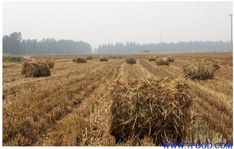 山东**生产小麦秸秆打捆机厂家