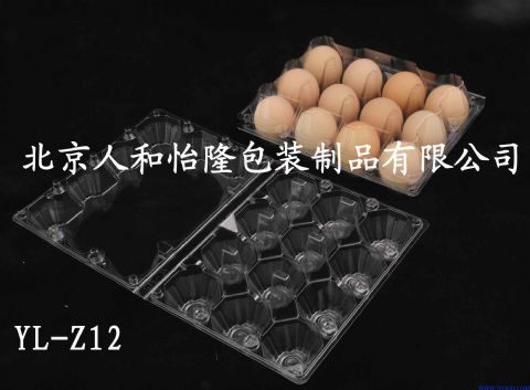 12枚塑料鸡蛋盒