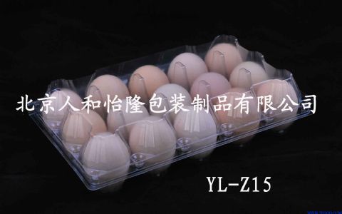 15枚塑料鸡蛋盒