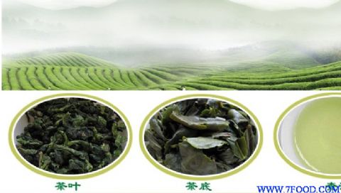 清香型正味三级铁观音茶农直销价批发