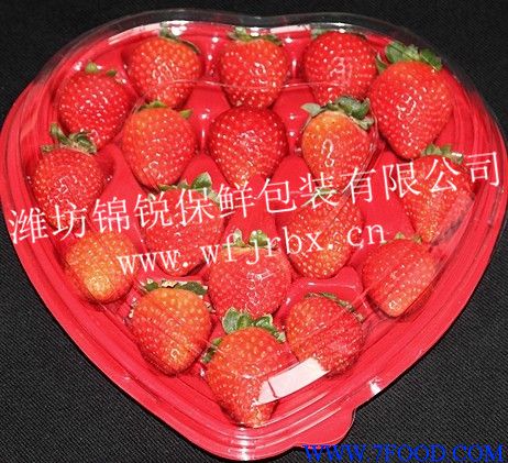 锦锐保鲜草莓活性气调保鲜盒
