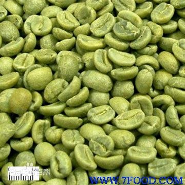绿咖啡豆提取物大量供应
