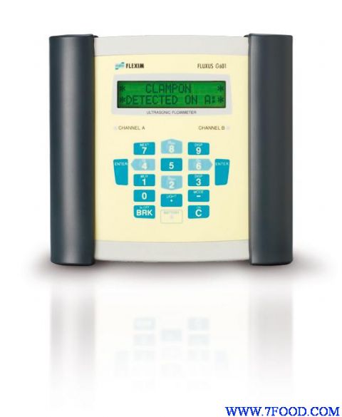 FLUXUSreg;G601手持式超声波气体流量计