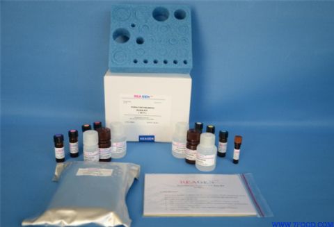 人硫氧化还原蛋白（Trx）ELISA试剂盒